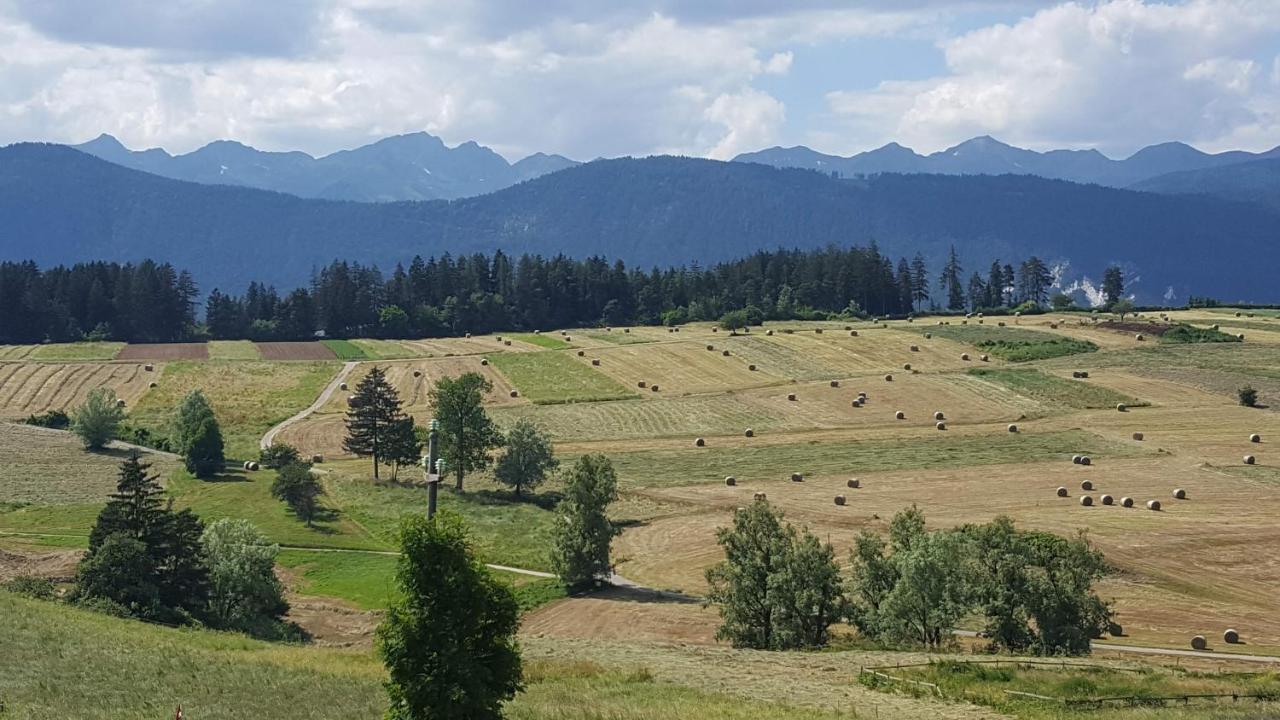 Piccolo Orso Bruno Panzió Cavareno Kültér fotó